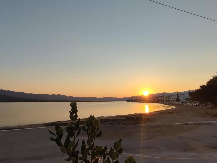 Apartment Bahia- By The Sea